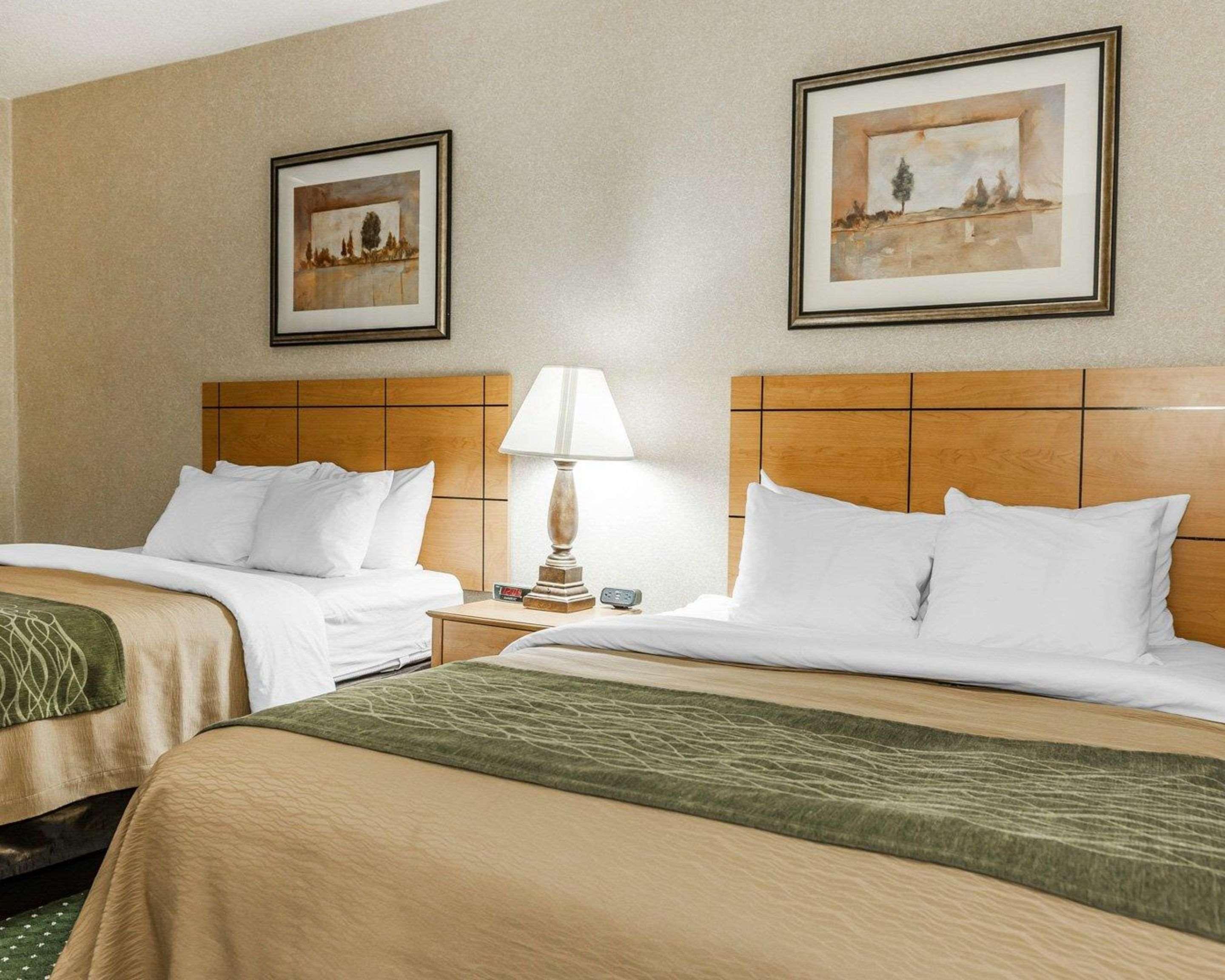 Comfort Inn Near Kokomo Speedway Bagian luar foto