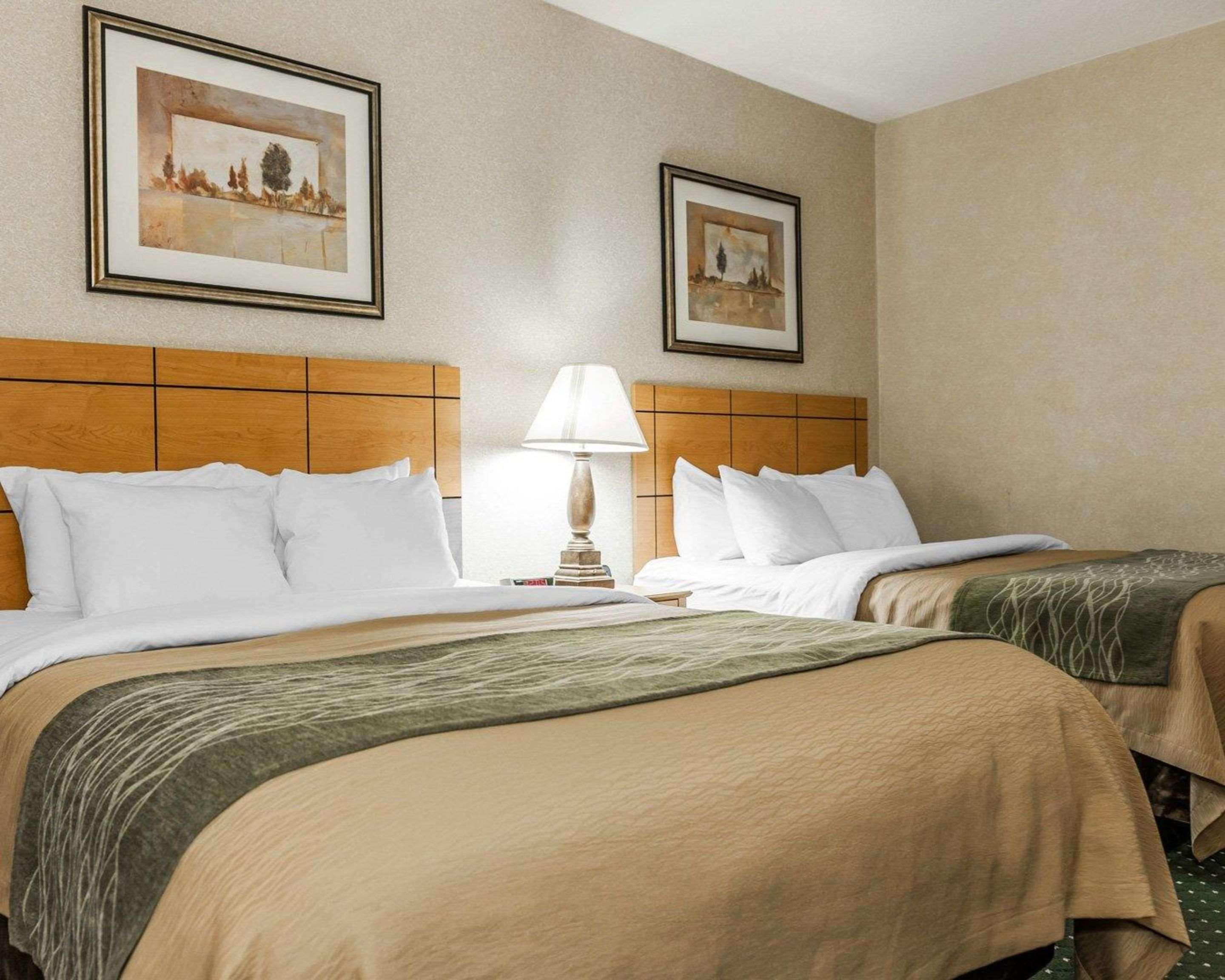 Comfort Inn Near Kokomo Speedway Bagian luar foto